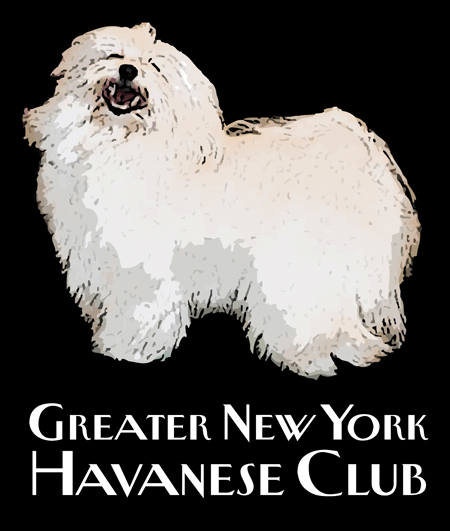 What is the Havanese Club of America?